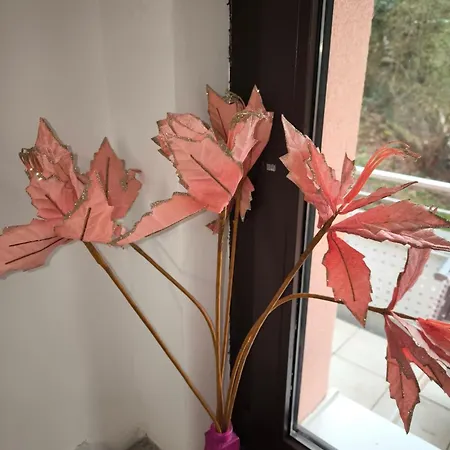 Pensjonat Muehltal Private *