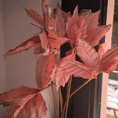 Pensjonat Muehltal Private